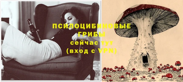 ПСИЛОЦИБИНОВЫЕ ГРИБЫ Бронницы