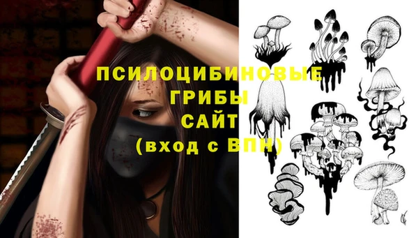 спайс Верея