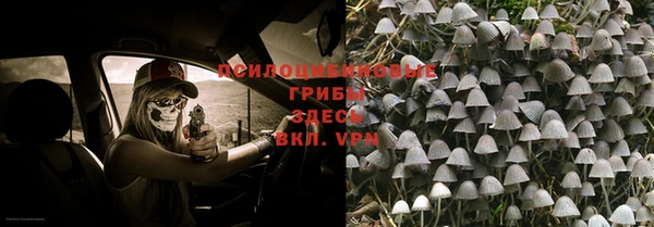 спиды Бородино