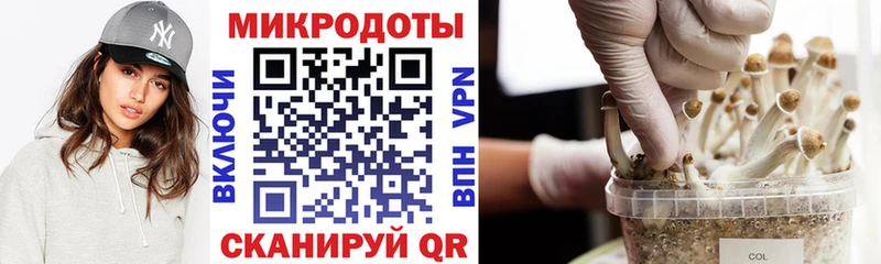 Галлюциногенные грибы ЛСД  сколько стоит  Камешково 