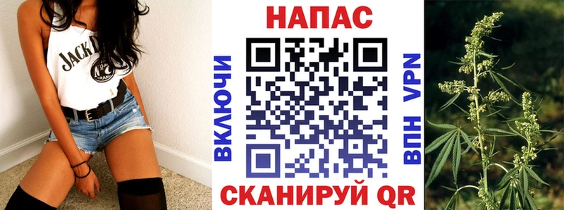 цены наркотик  Камешково  Каннабис MAZAR 